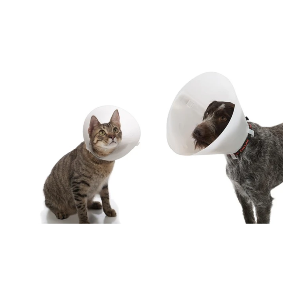 Collar Isabelino para gatos y perros - Imagen 2