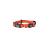 Collar Doco Perro - Imagen 4